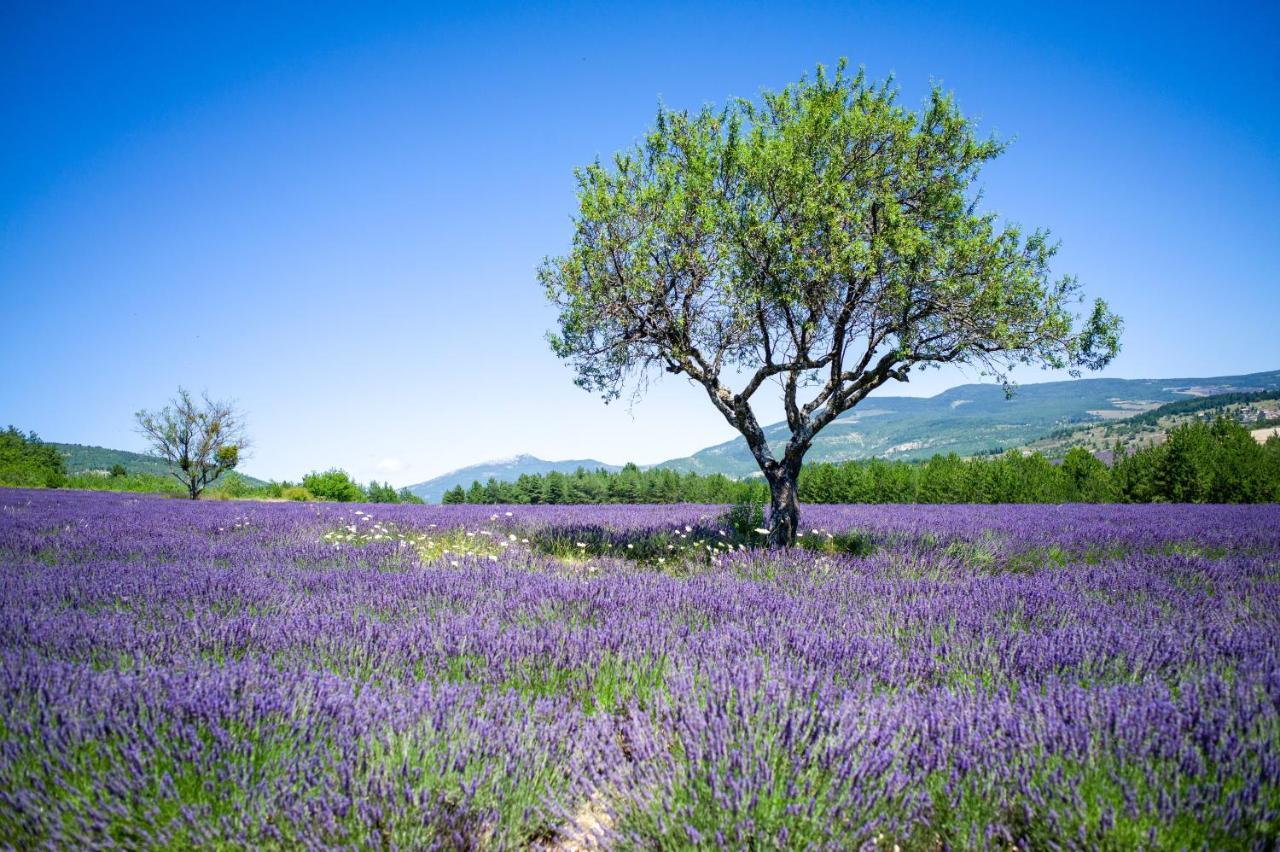 Le Claux Du Puits By Ateya Vacances Saint-Trinit Экстерьер фото